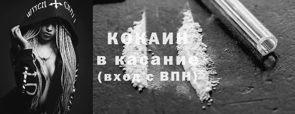 прущие грибы Баксан