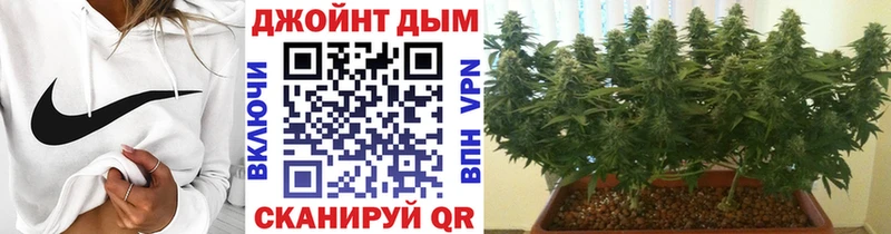 Бошки марихуана Ganja  купить закладку  Вяземский 